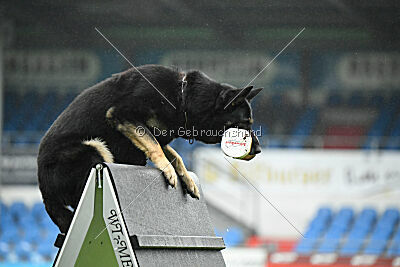 Luca von Djipy`s Haus